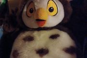 Owl Cuddly toy