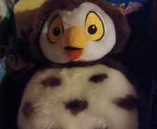 Owl Cuddly toy