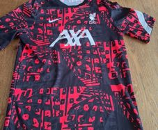 Liverpool Training Top
