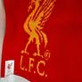 New Liverpool scarf and new unopened cosmetics Image 5