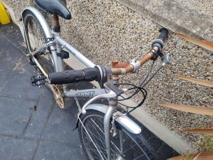 bike  giant needs fixing