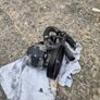 Peugeot Partner Expert / Citroen berlingo dispatch Power Steering Pump Image 4
