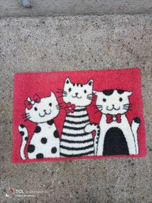 Door mat. 40x60cm