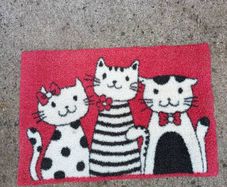 Door mat. 40x60cm