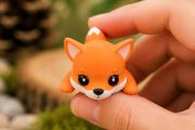 Meet our Mini Fox