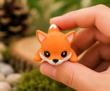 Meet our Mini Fox