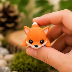 Meet our Mini Fox