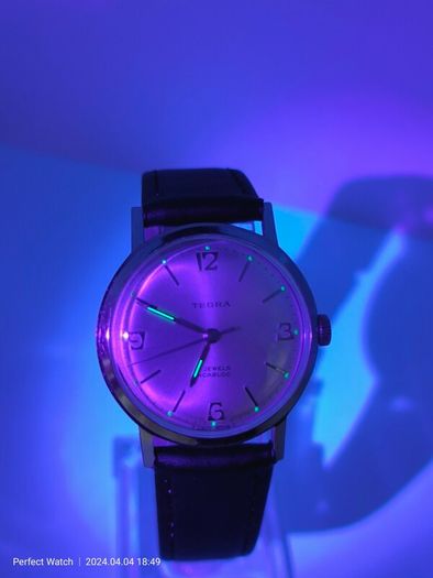 Vintage Swiss Tegra Watch