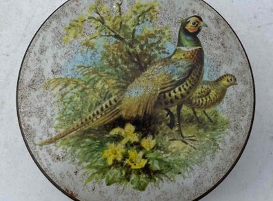 two nice tin's