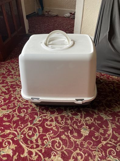 cats- litter box