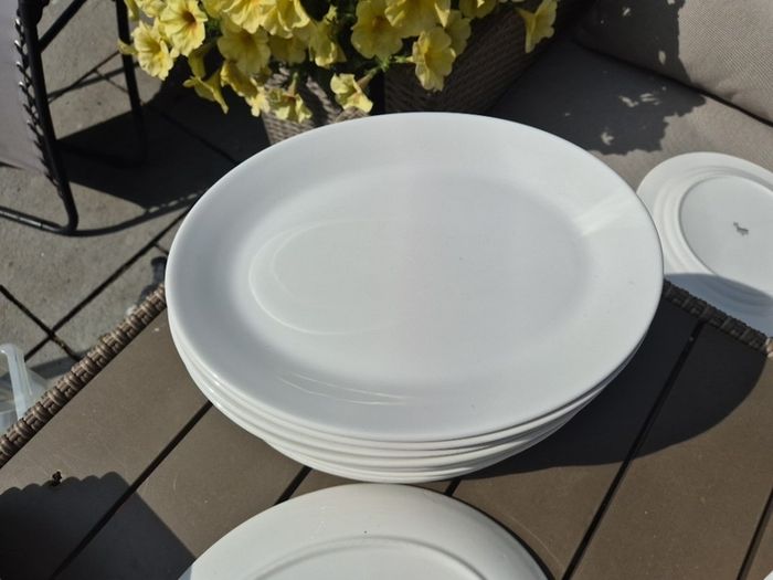 crockery 12 inch steak plates