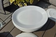 crockery 12 inch steak plates