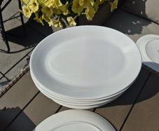 crockery 12 inch steak plates