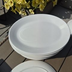 crockery 12 inch steak plates