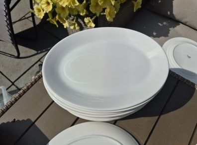 crockery 12 inch steak plates