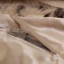 Ladies vintage leopard neck collar Image 5