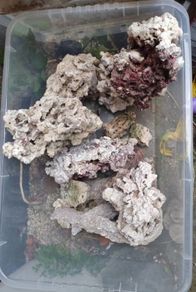 Aquarium rocks