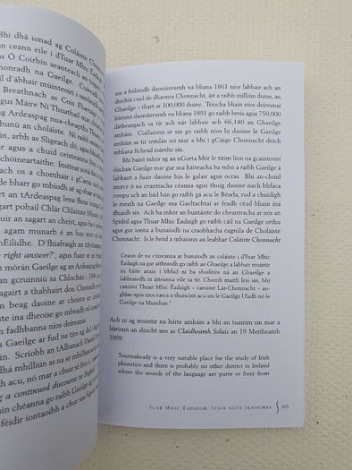 Tuar Mhic Eadaigh - Stair agus Seanchas by Padraig Stanfdun.
