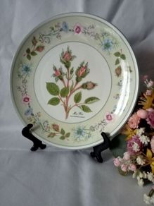 Aynsley Bone China Collectors Plate "Moss Rose"