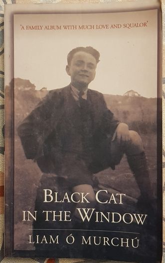 Black Cat In The Window: A Family Album with Much Love and Squalor by Liam O'Murchu
