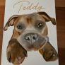 pet painting Image 5