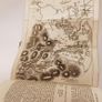 The Travellers New Guide Through Ireland Published by Longman Hurst Rees Orme and Brown, London (CP119) Image 7