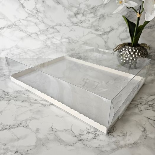 rectangle cake box trasparent