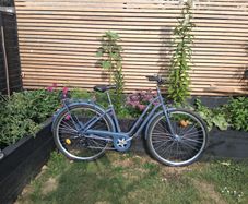 Womens Bike - Excellent condition