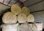 Round Bales