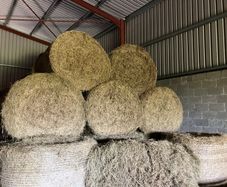 Round Bales