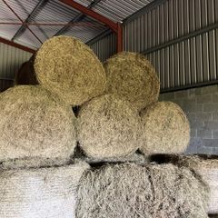 Round Bales
