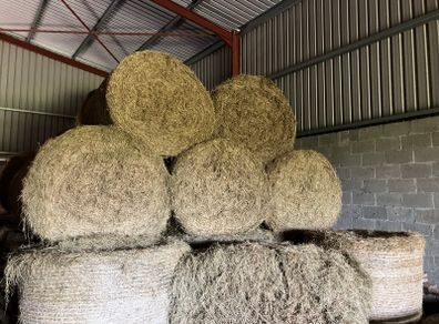 Round Bales