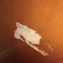 mid century teak locker Image 3
