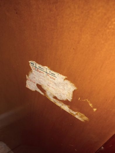 mid century teak locker