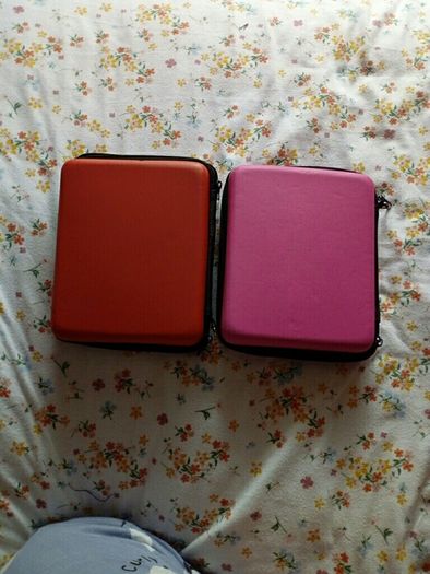 3DS cases