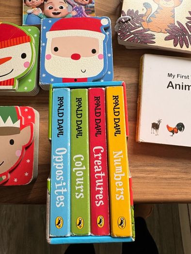13 baby books Xmas CocoMelon Roald Dahl