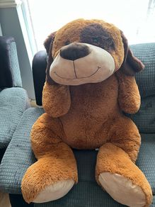 teddies