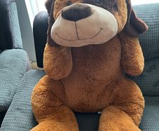 teddies