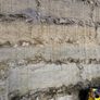 Pit silage Image 5