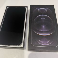 iPhone 12 Pro Max 255 GB