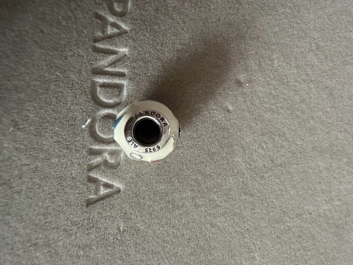 Pandora charm