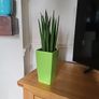 Sansevieria Cylindrica planter Image 3