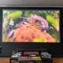 Hisense PX3-PRO 4K UST Laser - 3D IMAX Dolby Vision Atmos Harman Kardon - Mint 6YR Warranty 2031 Image 6