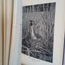 England's Birds by W. K. Richmond (PT37) Image 7