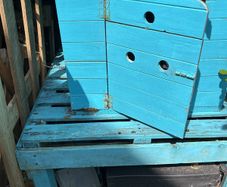 Free Dog Kennel