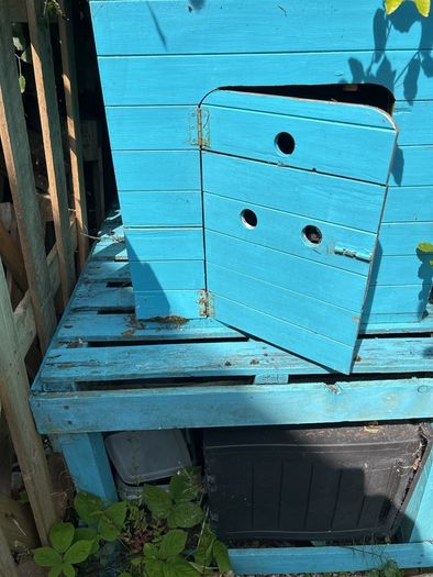 Free Dog Kennel