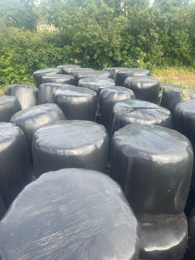 silage