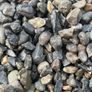 Garden Pebble Image 10