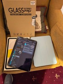 Apple Ipad