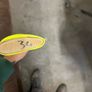 hurley 34" Image 3
